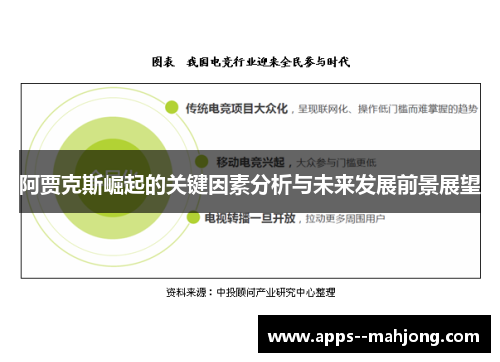 阿贾克斯崛起的关键因素分析与未来发展前景展望