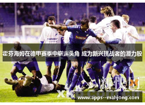 霍芬海姆在德甲赛季中崭露头角 成为新兴挑战者的潜力股